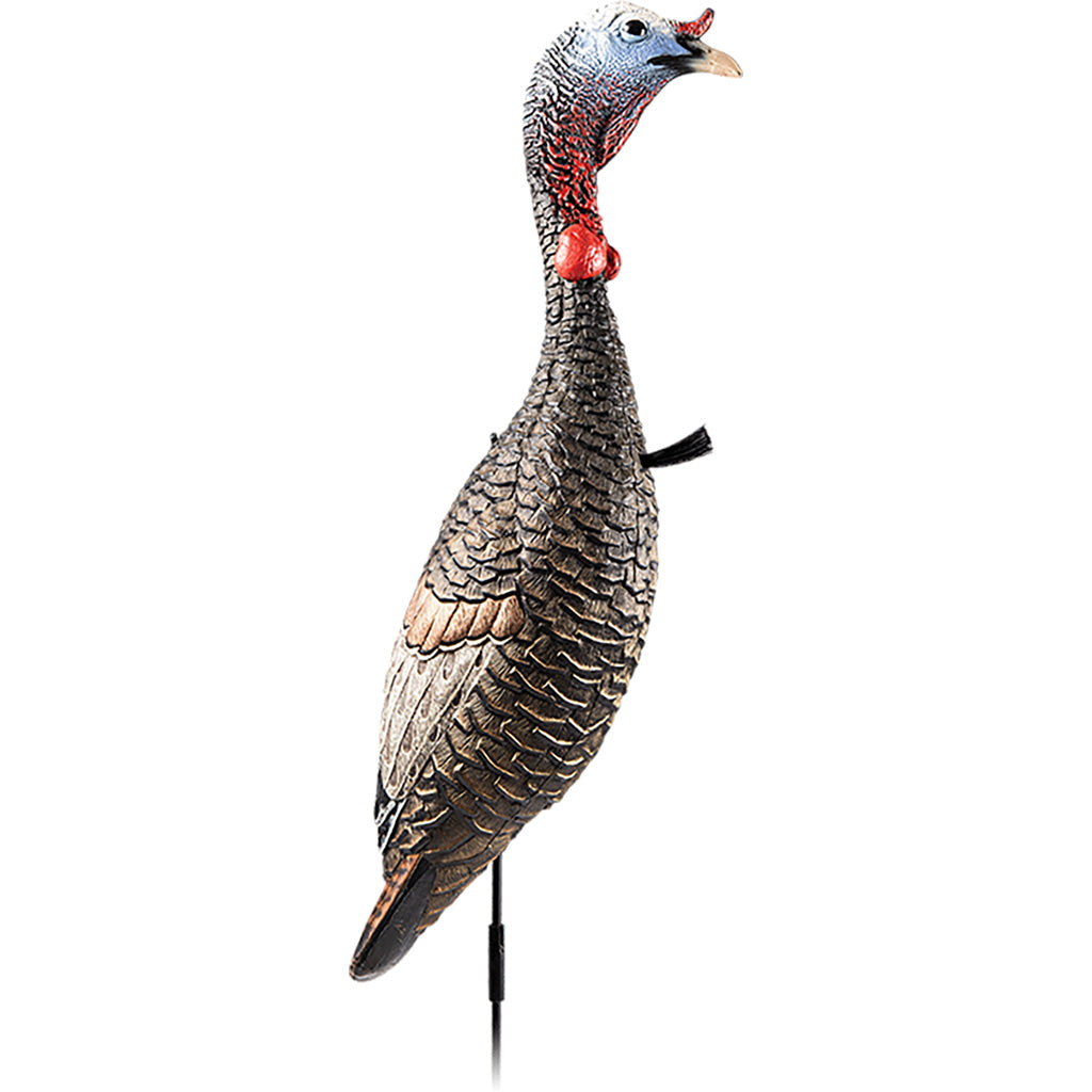 Flextone Funky Chicken Gen 2 Realistic Turkey Hunting Decoy