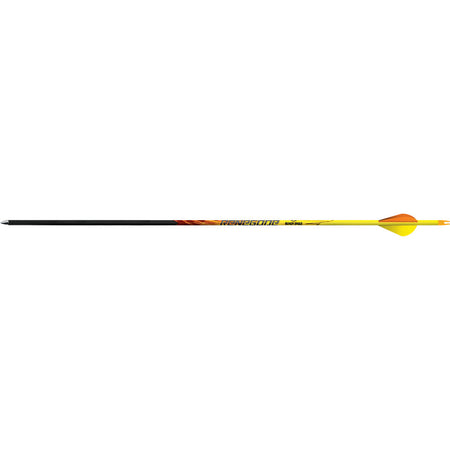 Black Eagle Renegade Arrows 350 Spine .005 Blazer Vaned Carbon Shafts 6 pk.