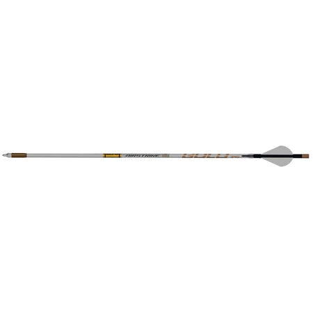 Gold Tip AirStrike 250 Raptor Vane Carbon Arrows 6 Pack