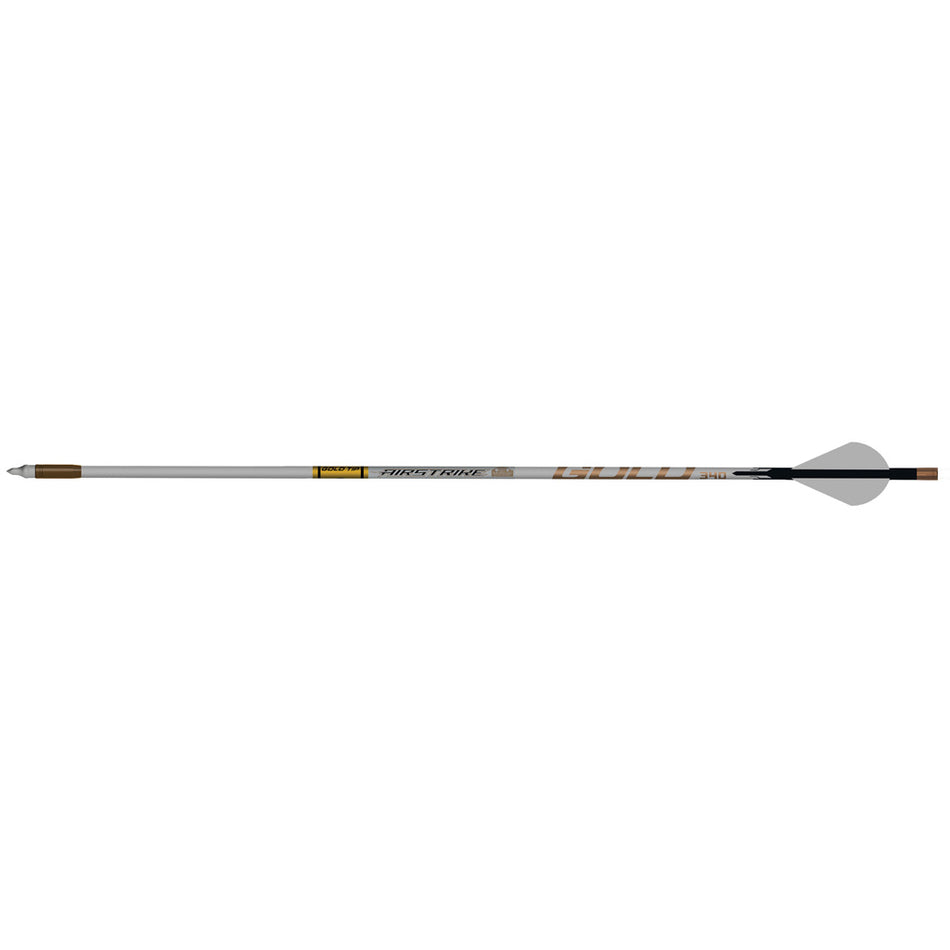 Gold Tip AirStrike 250 Raptor Vane Carbon Arrows 6 Pack