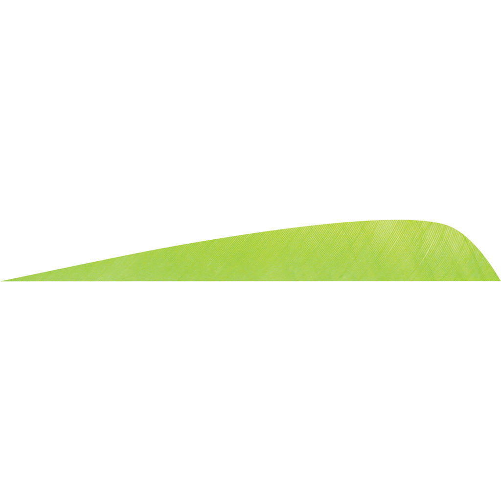 Gateway 4 in. Parabolic Feathers Chartreuse Left Wing 50 Count