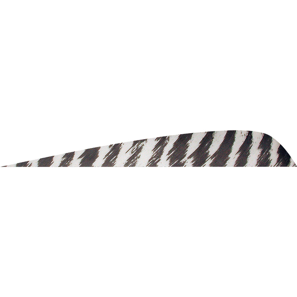 Gateway 4 in. Parabolic Feathers Barred White Left Wing 50 Count