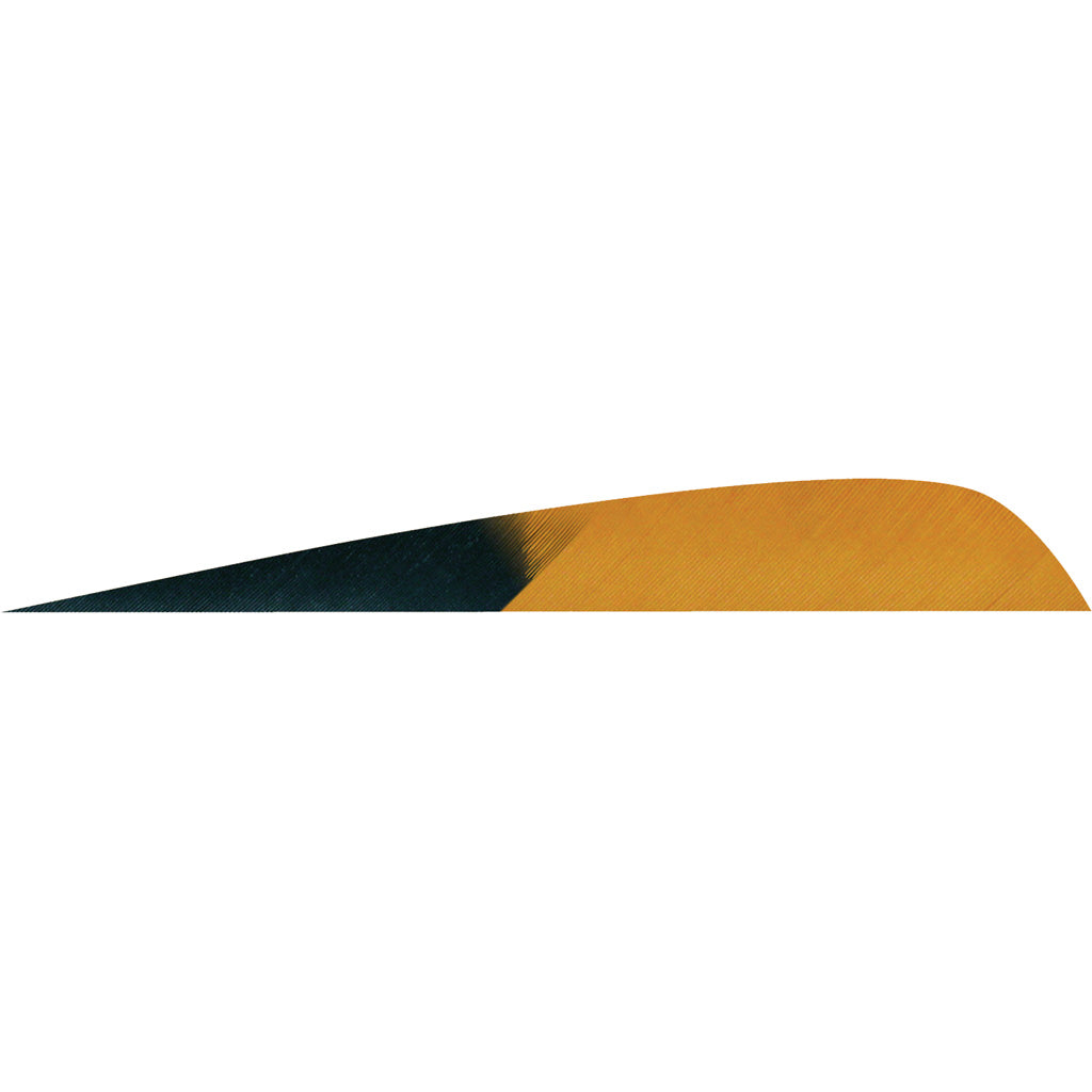 Gateway Feathers Kuro Brown 4-Inch Parabolic LW Fletching 50 Pack
