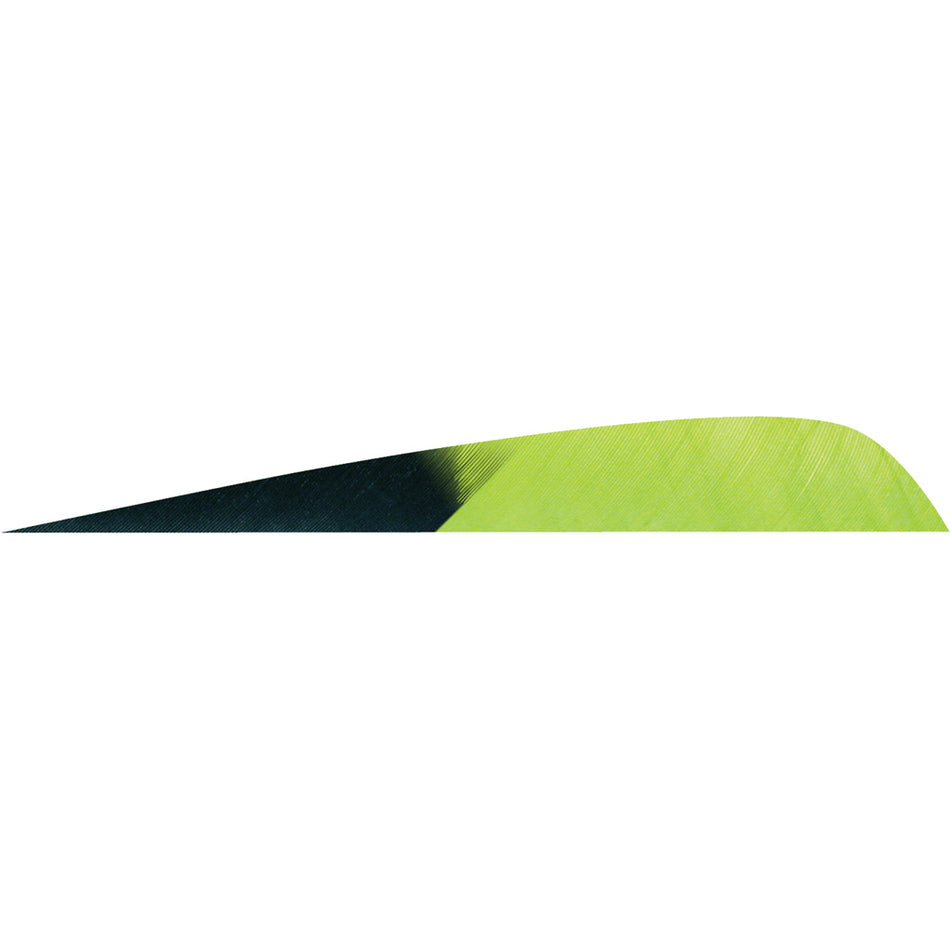 Gateway Feathers Kuro Chartreuse 4-Inch Parabolic LW Fletching 50 Pack