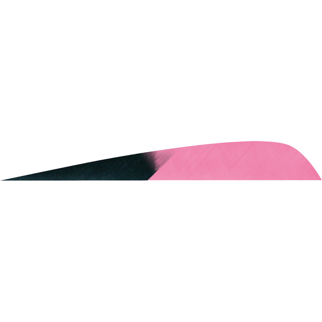 Gateway Feathers Kuro Pink 4-Inch Parabolic LW Fletching 50 Pack
