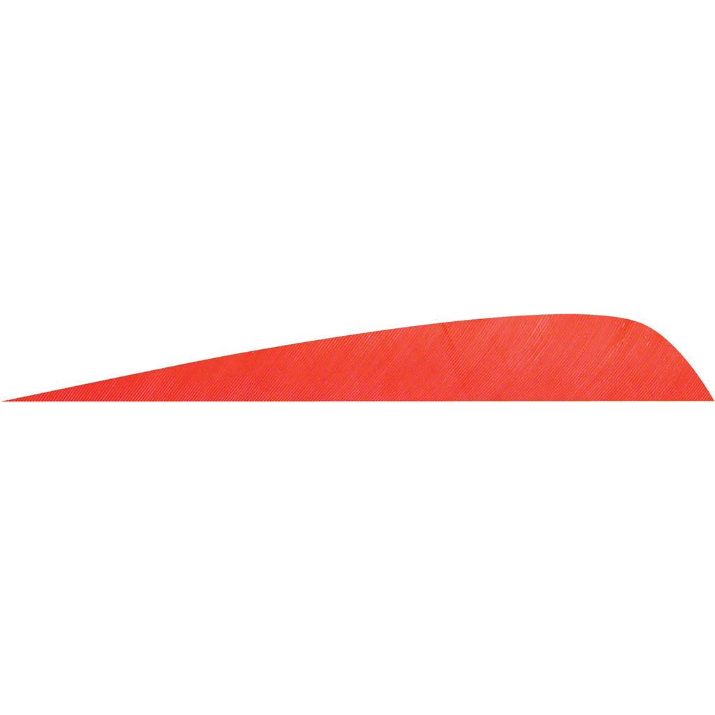 Gateway Red Parabolic Fletching Feathers 4 in. LW 50 Count