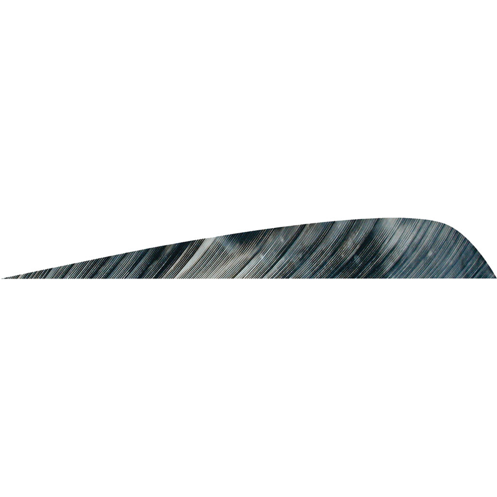 Gateway Tre Bark Parabolic Fletching Feathers 4 in. LW 50 Count