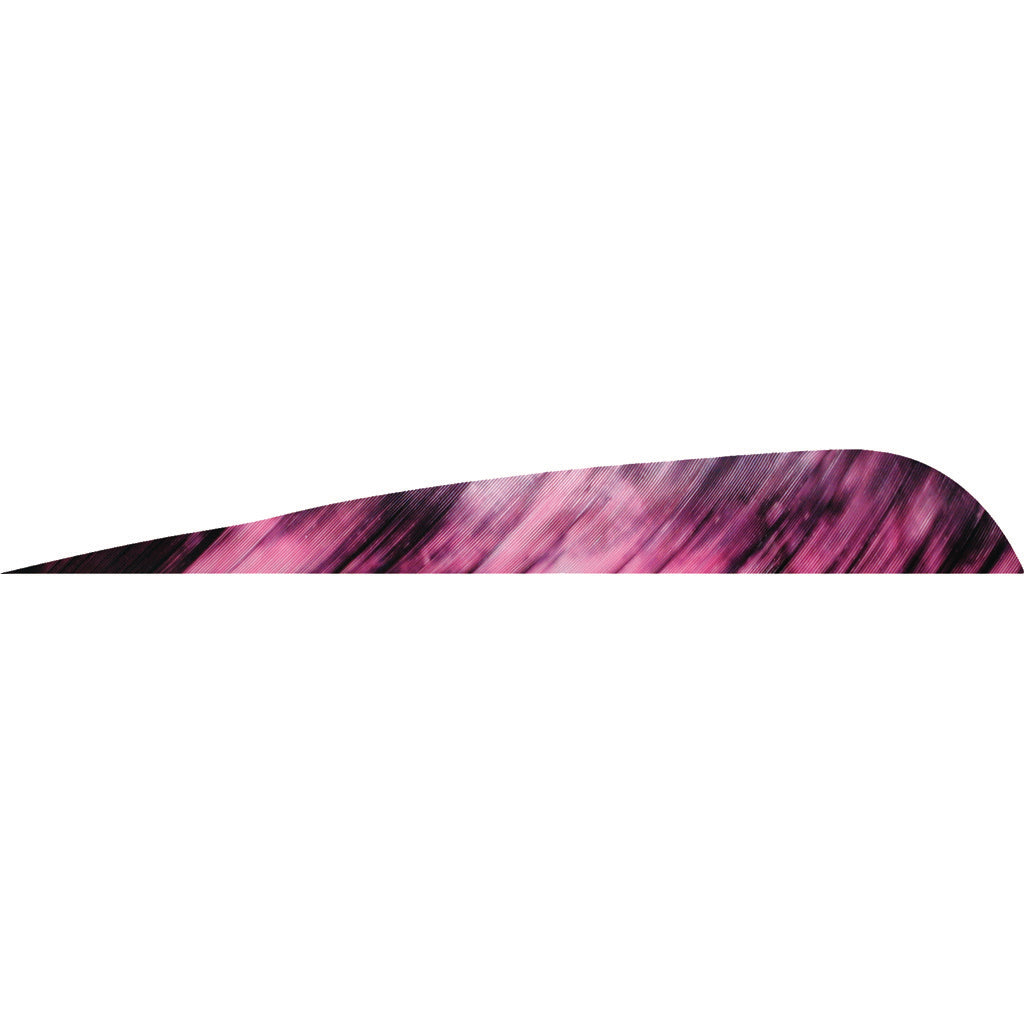 Gateway Tre Purple Parabolic Fletching Feathers 4 in. LW 50 Count