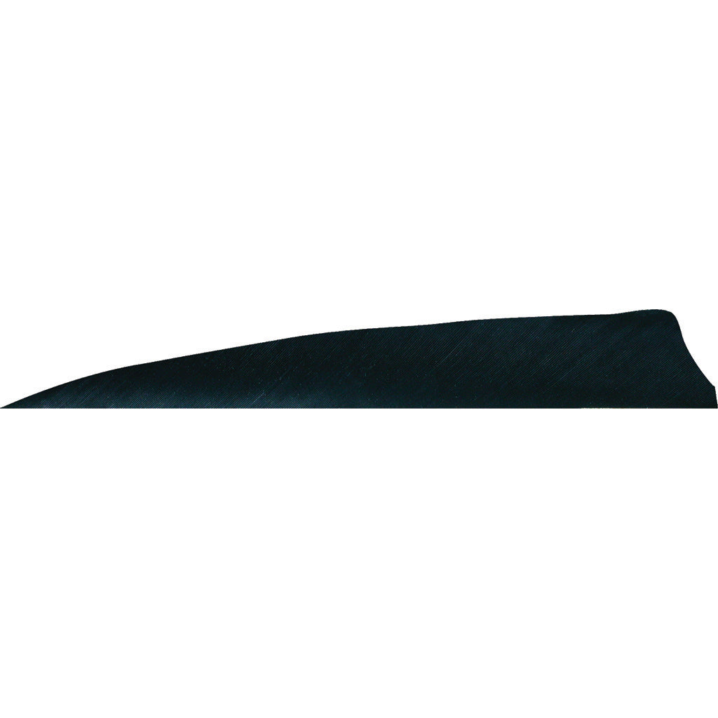 Gateway Black Shield Cut Fletching Feathers 4 in. LW 50 Count