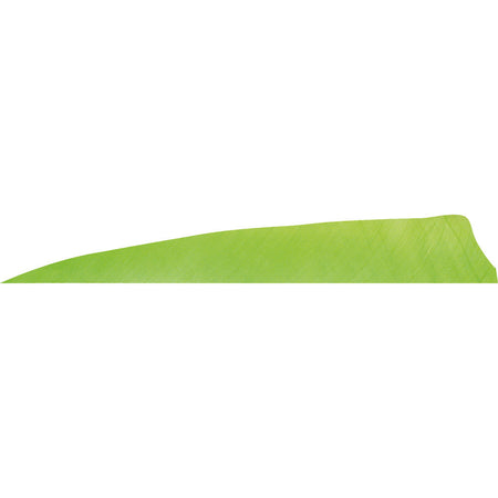 Gateway Chartreuse Shield Cut Fletching Feathers 4 in. LW 50 Count
