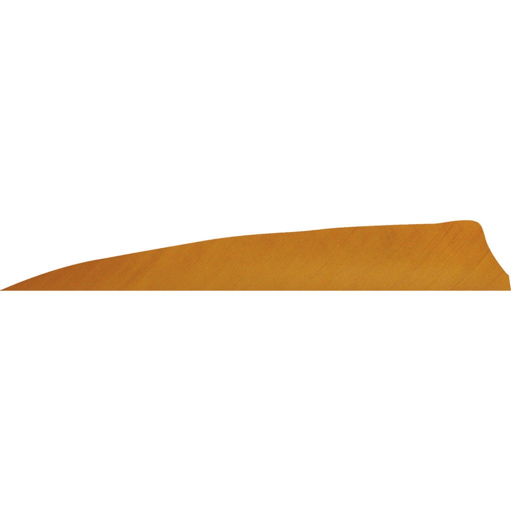 Gateway Desert Brown Shield Cut Fletching Feathers 4 in. LW 50 Count