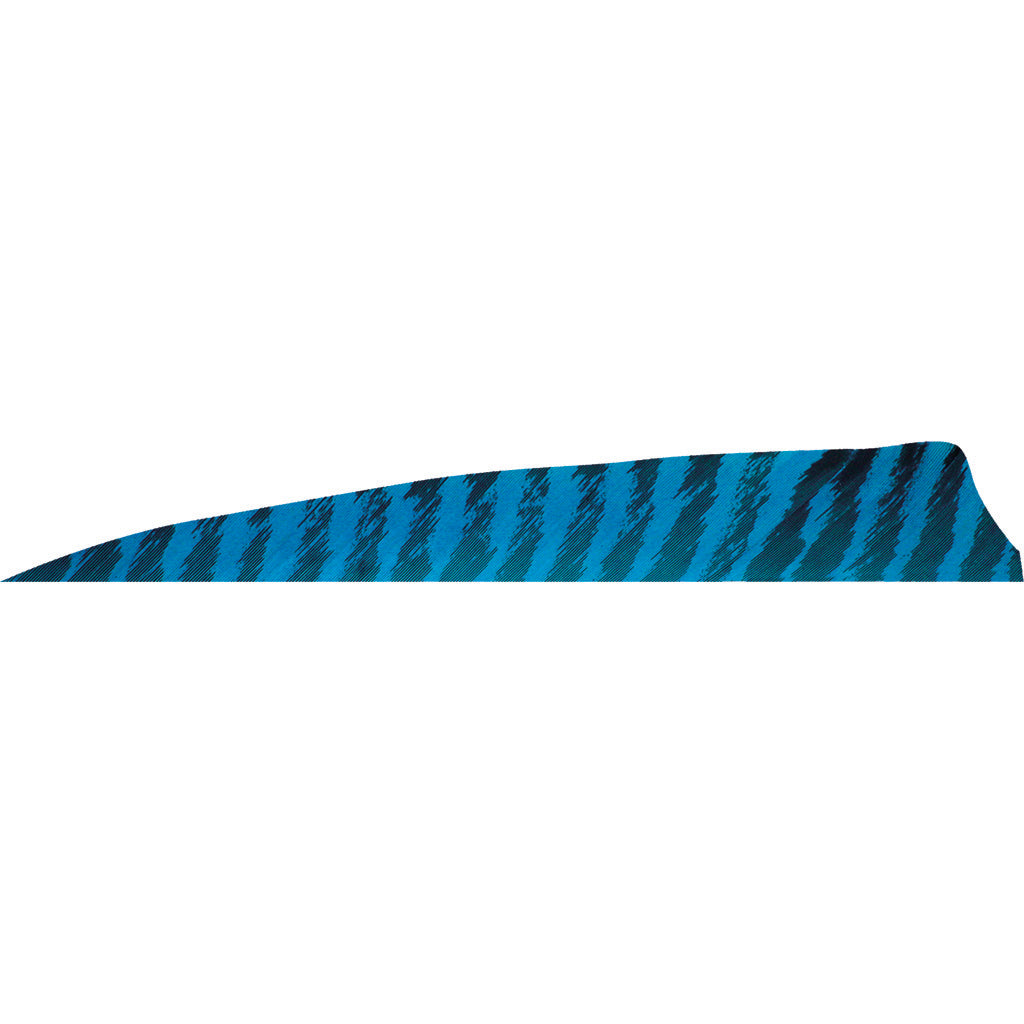 Gateway Barred Blue Shield Cut Fletching Feathers 4 in. LW 50 Count