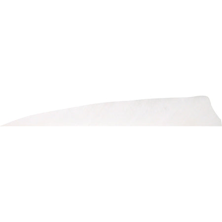 Gateway Shield Cut Arrow Feathers Fluorescent White 4 in. Left Wing Pack of 50