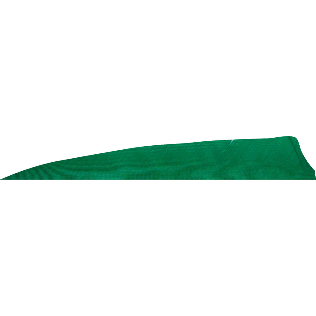 Gateway Shield Cut Arrow Feathers Green 4 in. Left Wing Pack of 50