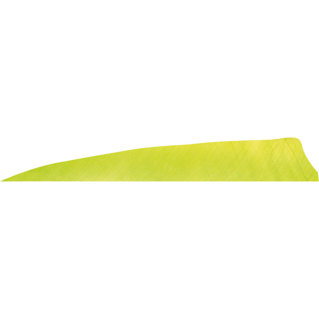 Gateway Shield Cut Arrow Feathers Lemon Lime 4 in. Left Wing Pack of 50