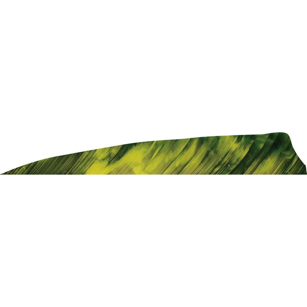 Gateway Shield Cut Feathers Tre Yellow 4 Inch Left Wing Pack of 50