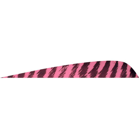 Gateway Parabolic Feathers Barred Flo Pink 4 Inch Right Wing Pack of 50