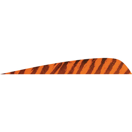 Gateway Parabolic Feathers Barred Orange 4 Inch Right Wing Pack of 50