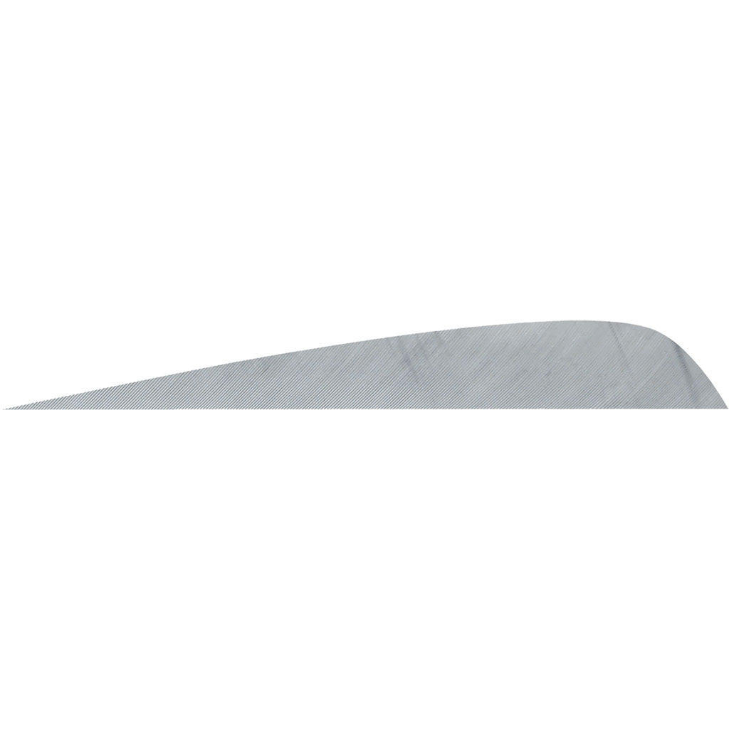 Gateway Feathers Parabolic Grey 4 Inch Right Wing 50 pk.