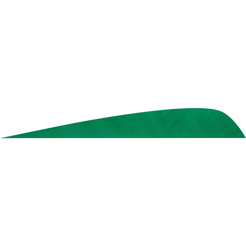 Gateway Feathers Parabolic Green 4 Inch Right Wing 50 pk.