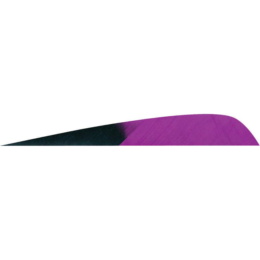 Gateway Feathers Kuru Purple Parabolic 4 Inch Right Wing 50 pk.