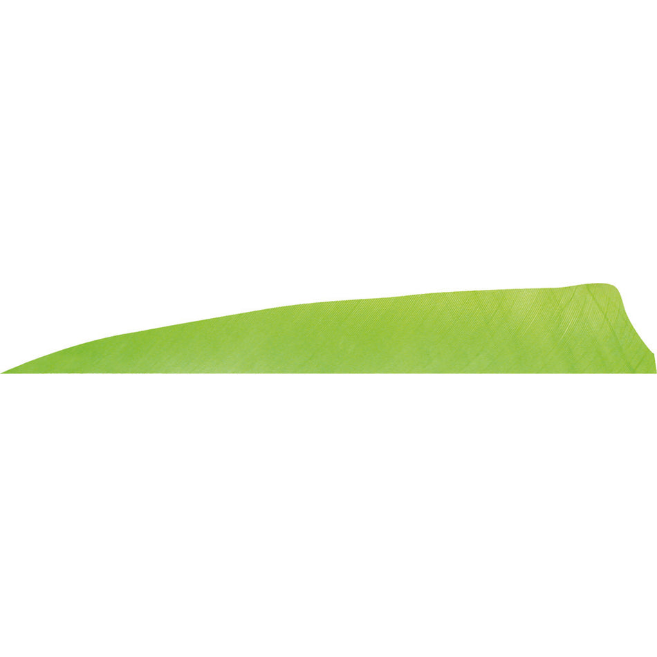 Gateway Chartreuse Shield Cut Arrow Feathers 4 in. Right Wing 50 Count
