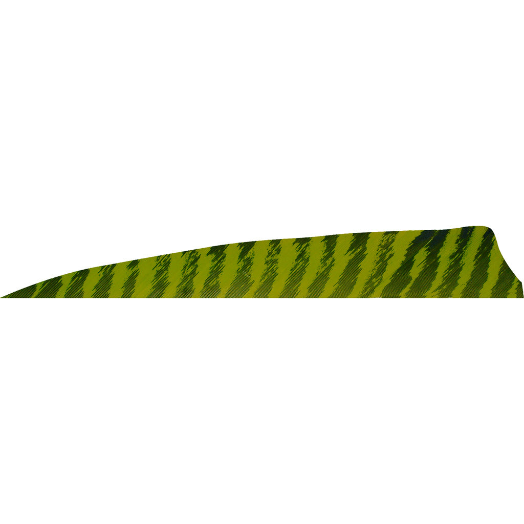 Gateway Barred Chartreuse Shield Cut Arrow Feathers 4 in. Right Wing 50 Count
