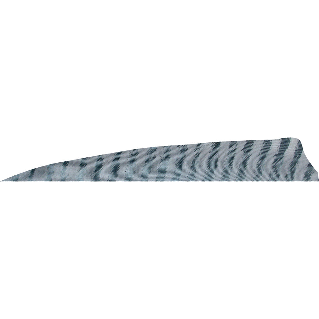 Gateway Barred Grey Shield Cut Arrow Feathers 4 in. Right Wing 50 Count