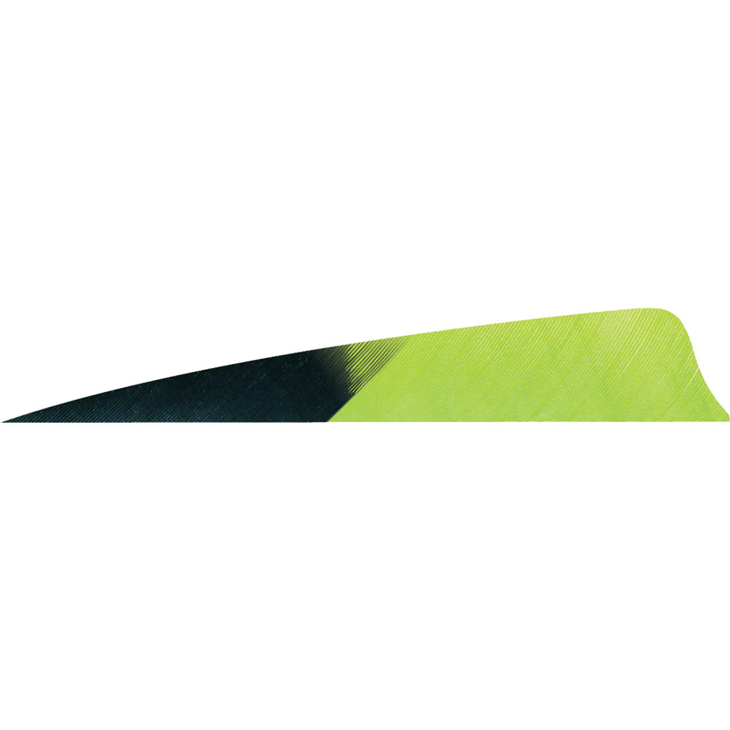 Gateway Feathers 4 in. Kuru Chartreuse Shield Cut Feathers RW Pack of 50