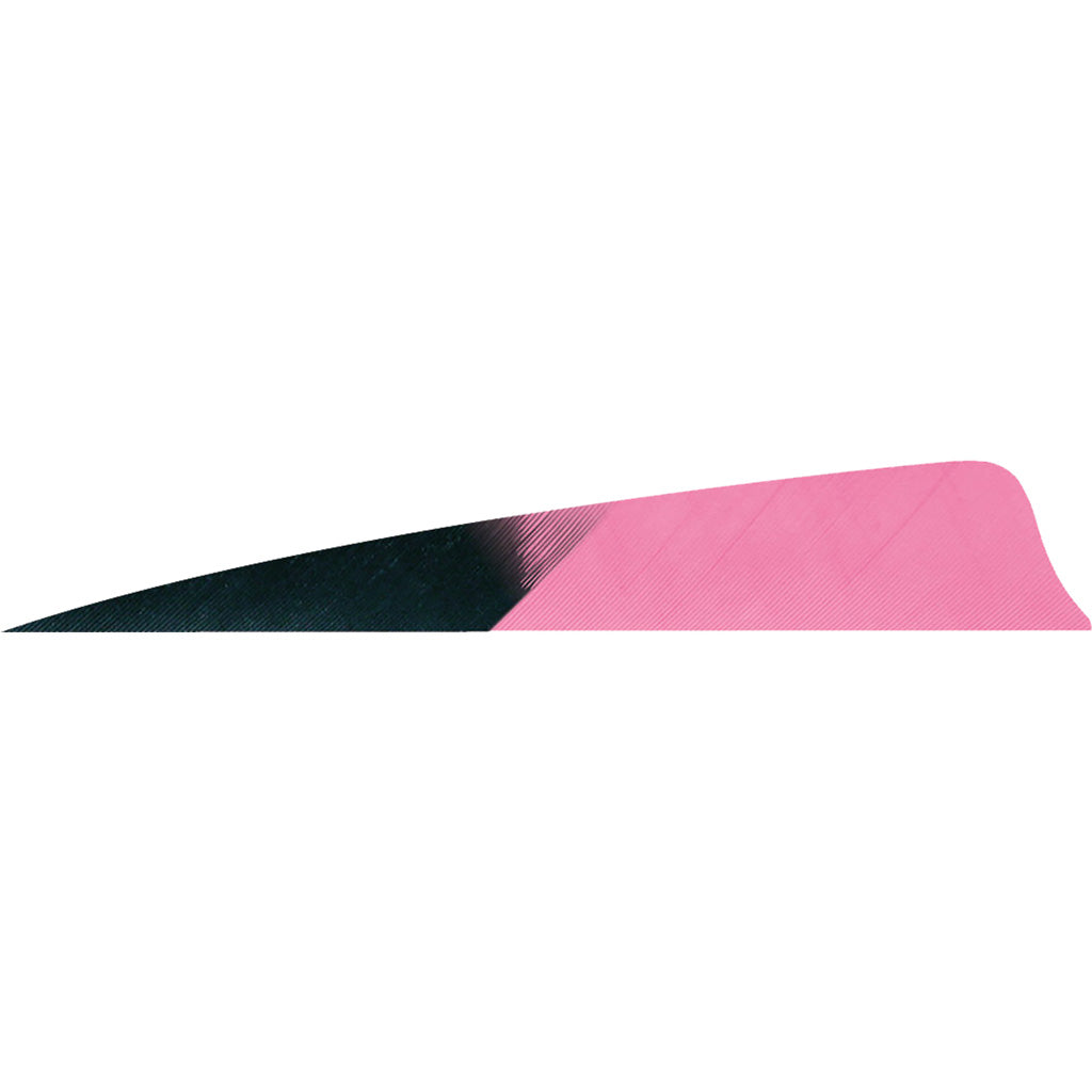 Gateway Feathers 4 in. Kuru Flo Pink Shield Cut Feathers RW Pack of 50