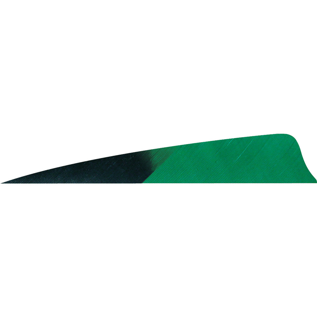 Gateway Feathers 4 in. Kuru Green Shield Cut Feathers RW Pack of 50