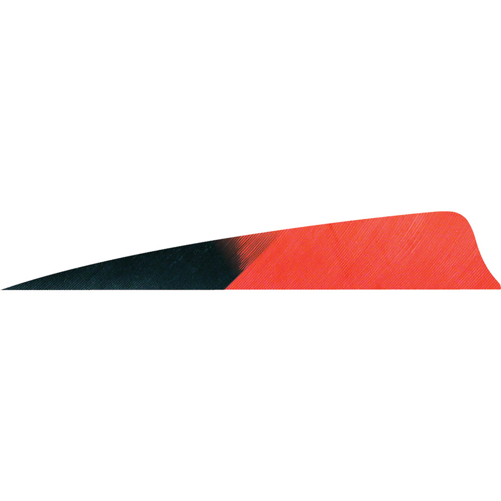 Gateway Feathers 4 in. Kuru Red Shield Cut Feathers RW Pack of 50