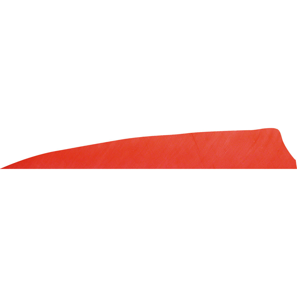 Gateway Shield Cut Arrow Fletching Red 4 in. RW 50 pk.