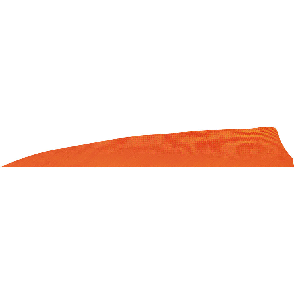 Gateway Shield Cut Arrow Fletching Tangerine 4 in. RW 50 pk.