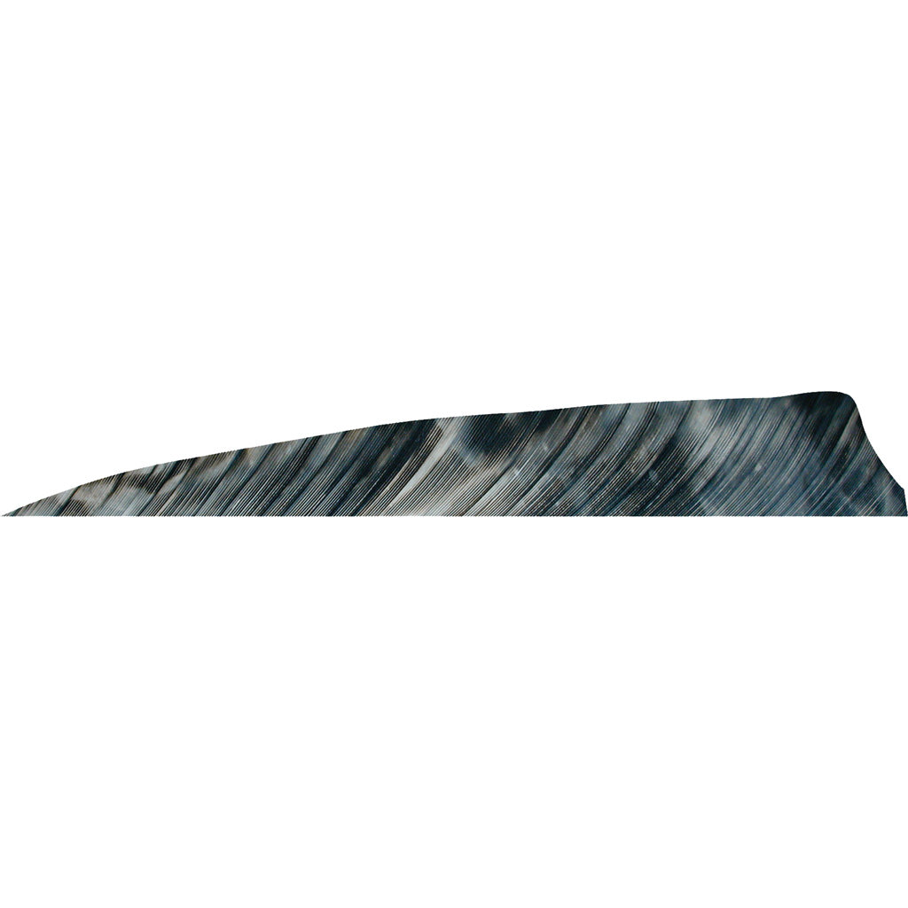 Gateway Shield Cut Arrow Fletching Tre Bark 4 in. RW 50 pk.