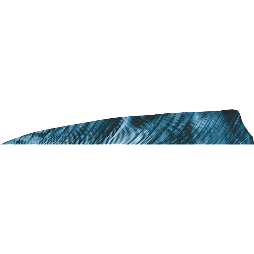 Gateway Shield Cut Arrow Fletching Tre Blue 4 in. RW 50 pk.