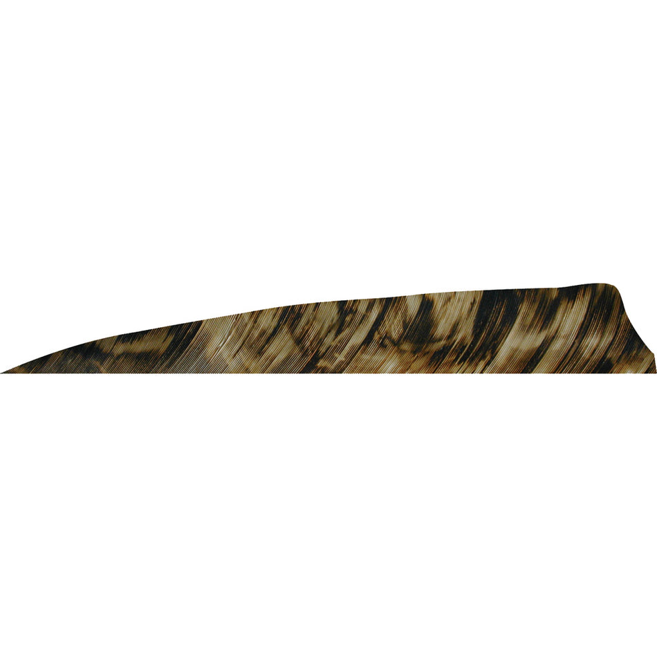 Gateway Shield Cut Arrow Fletching Tre Brown 4 in. RW 50 pk.