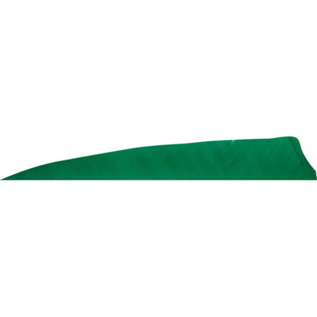 Gateway Shield Cut Arrow Fletching Tre Green 4 in. RW 50 pk.