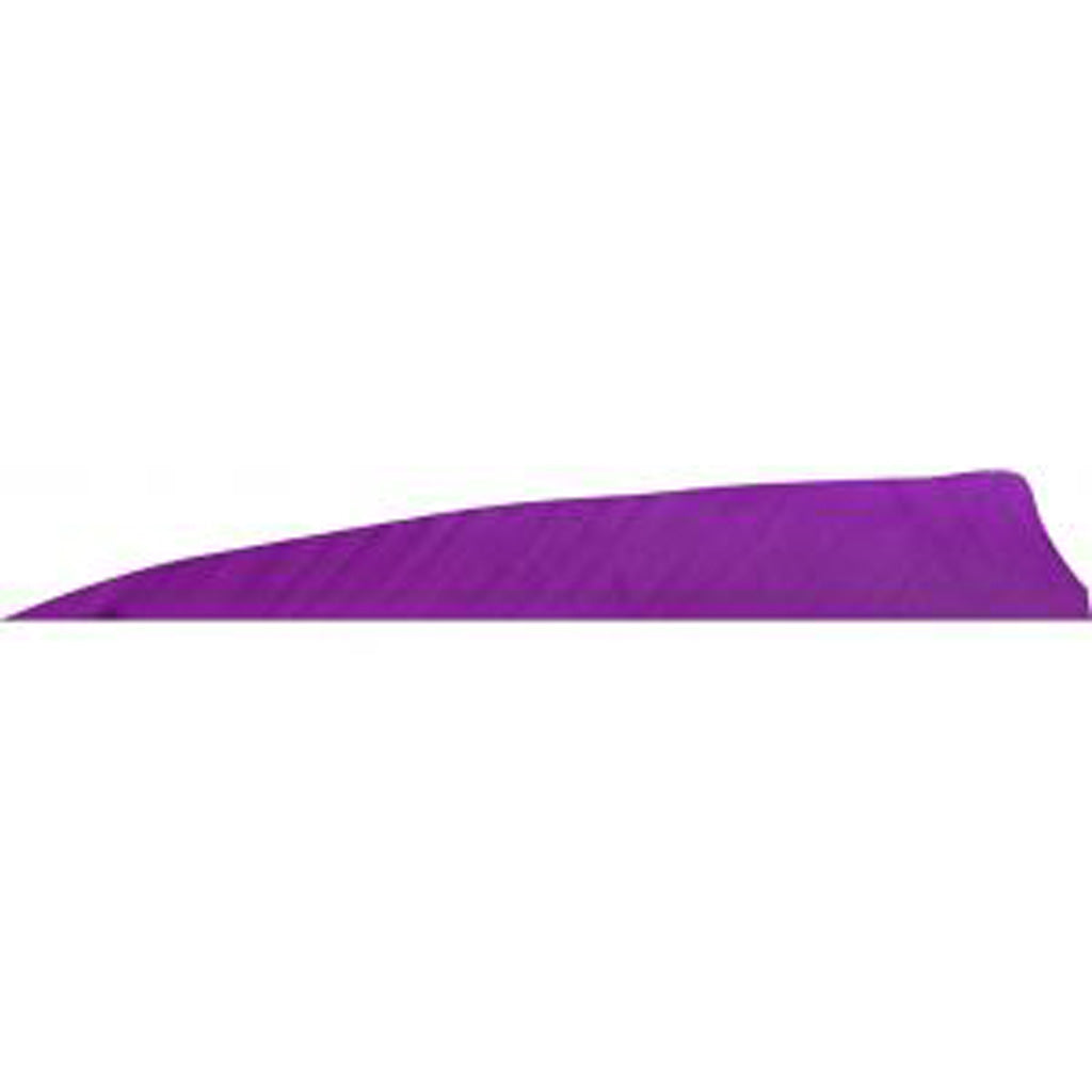 Gateway Shield Cut Arrow Fletching Tre Purple 4 in. RW 50 pk.