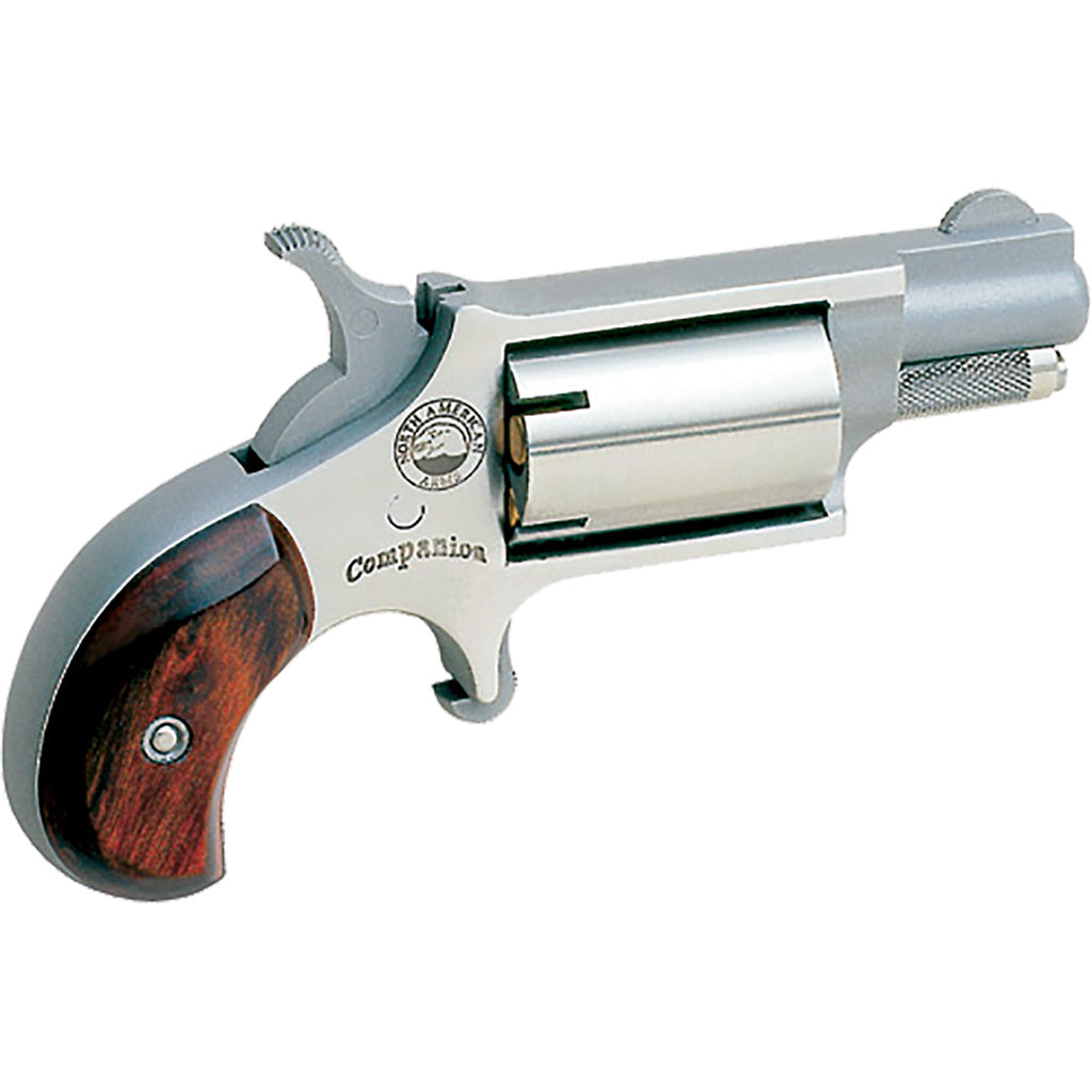 NAA Companion Black Powder Miniature Revolver .22 Cal Stainless 1.13 in. 5 Shot