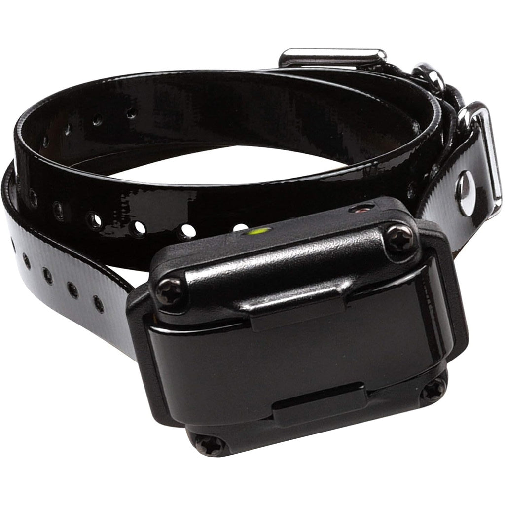 Dogtra 200IQ Dog E-Collar 1-Dog Training Kit