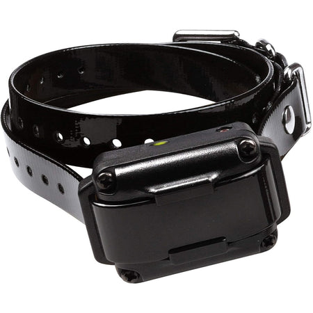 Dogtra 200IQ Dog E-Collar 1-Dog Training Kit