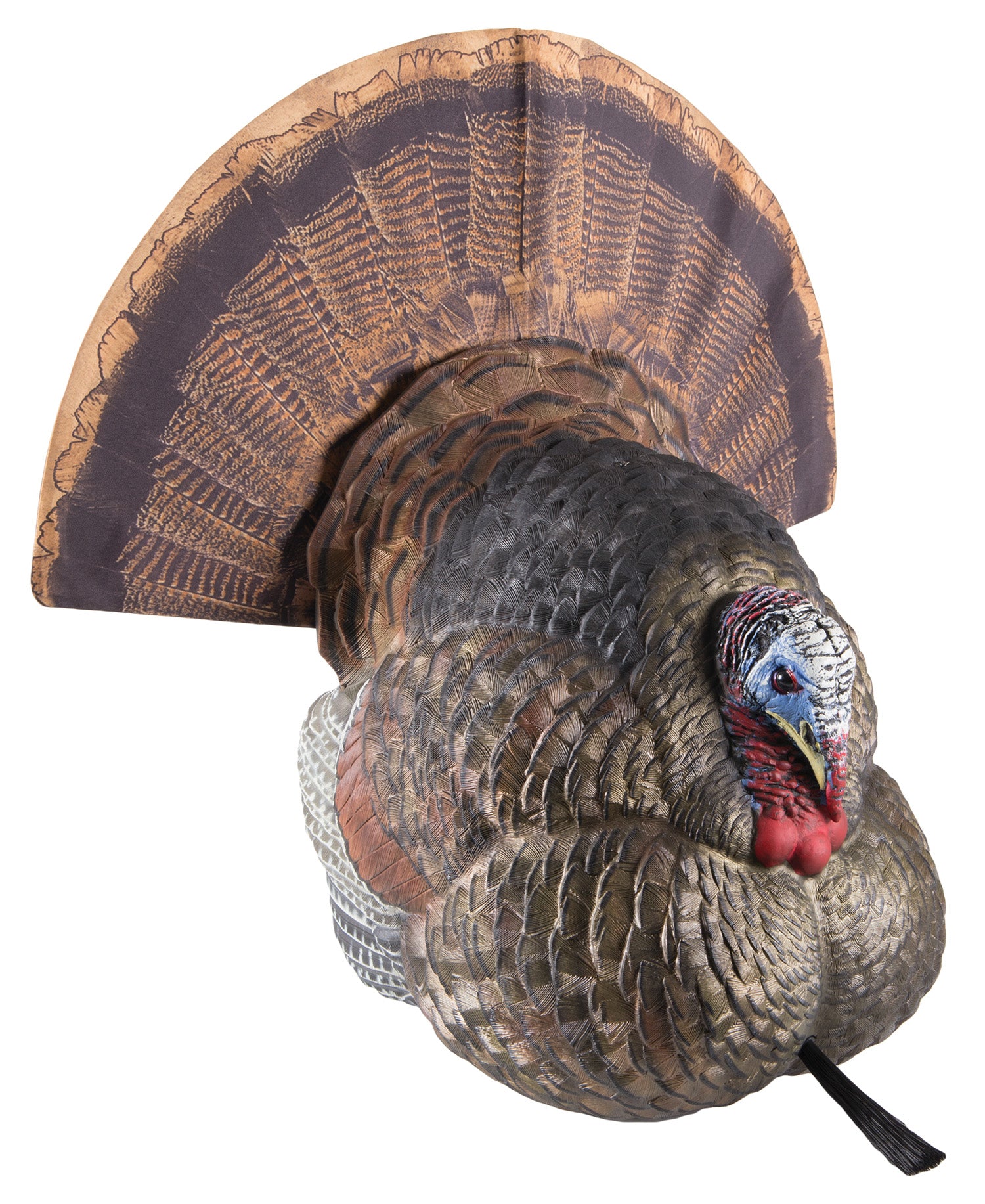 Avian-X Lifelike Collapsible Strutter Turkey Hunting Decoy