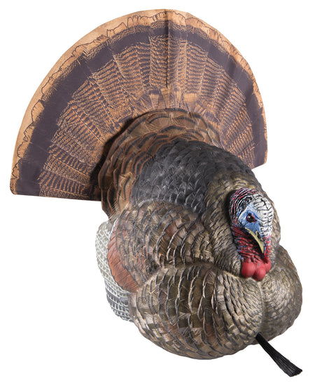 Avian-X Lifelike Collapsible Strutter Turkey Hunting Decoy