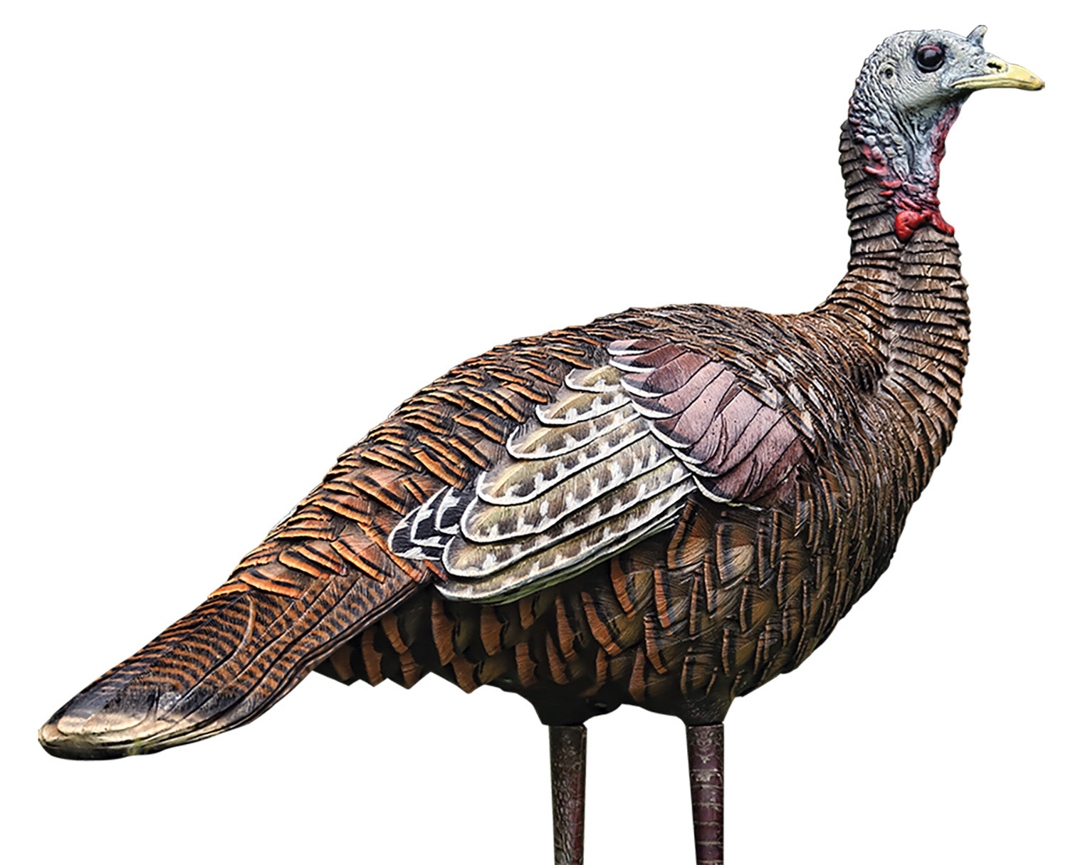Avian-X Lifelike Collapsible Lookout Hen Turkey Hunting Decoy
