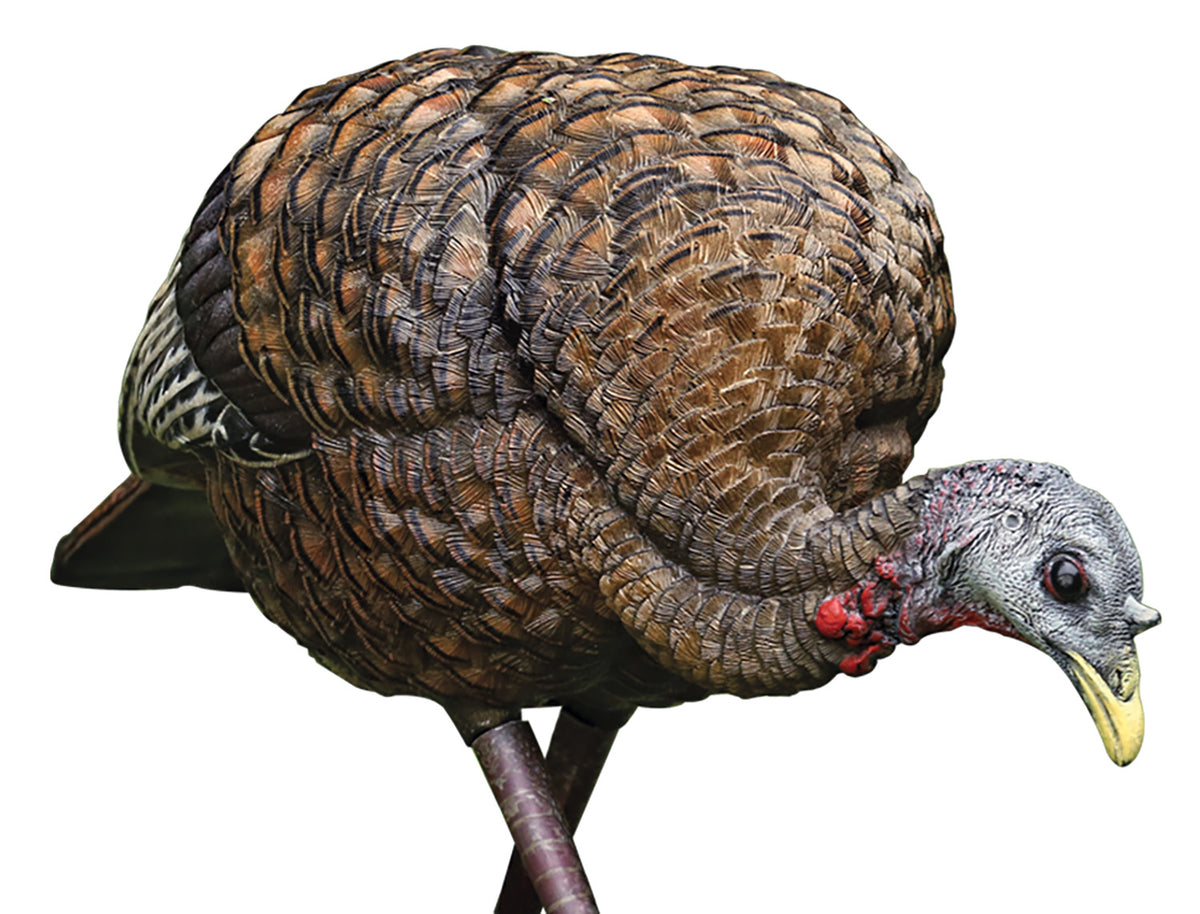 Avian-X Lifelike Collapsible Feeder Hen Turkey Hunting Decoy