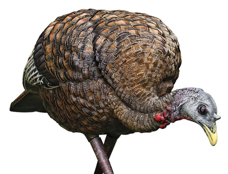 Avian-X Lifelike Collapsible Feeder Hen Turkey Hunting Decoy