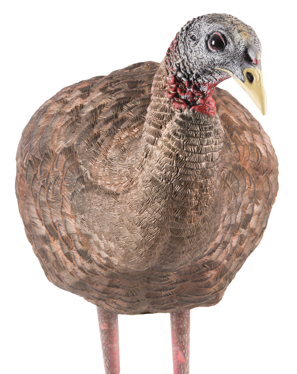 Avian-X Lifelike Collapsible Breeder Hen Turkey Hunting Decoy