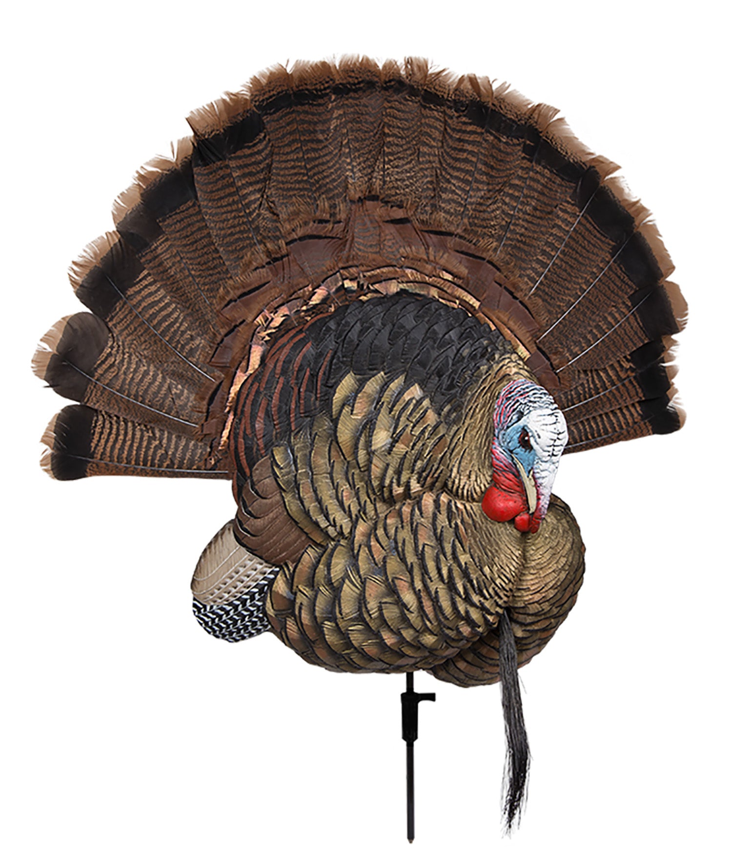 Avian-X Trophy Tom Turkey Fan Mount and Field Decoy No Fan Included