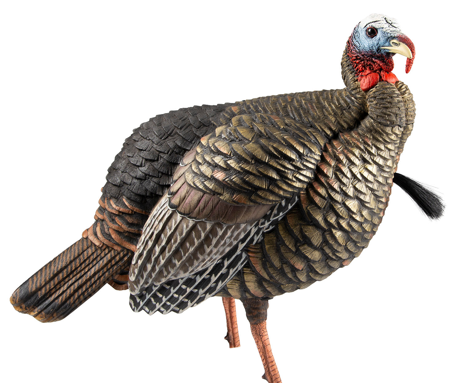 Avian-X Heavy-Duty Realism Jake Turkey Hunting Decoy Multi Color